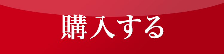 ソースにこだわって作った俺のデミグラスハンバーグ5セットを購入する